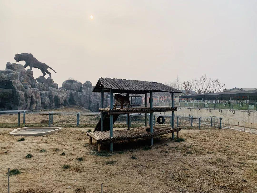 沧州,魅力无限的宝藏城市探索之旅